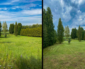 Žolės pjovimas - Vėjos, žolės pjovimas. Žolės skarifikavimas. - 1