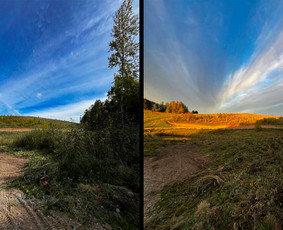Apleistų sklypų tvarkymas - Vėjos, žolės pjovimas. Žolės skarifikavimas. - 2