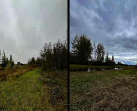 Apleistų sklypų tvarkymas - Vėjos, žolės pjovimas. Žolės skarifikavimas. - 1