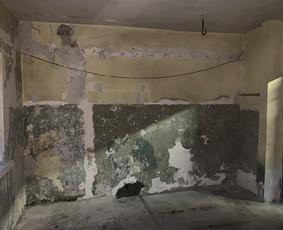 Pagalbiniai darbininkai / Domantas / Darbų pavyzdys ID 3869616