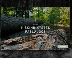 Interneto svetainių kūrimas - Interneto svetainių kūrimas ir administravimas [Seo] - 2