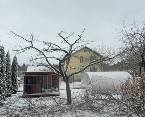 Vaismedžiu genėjimas,tuju gyvatvorių,krūmų kirpimas! / Vitalijus Juodaitis / Darbų pavyzdys ID 3870802