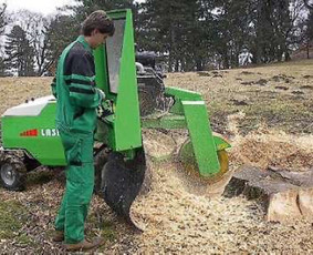 Kelmu frezavimas grežimas,grežimas ir naikinimas - Aplinkos tvarkymas, apželdinimas - 1 Aplinkos tvarkymas, apželdinimas - Kelmu frezavimas grežimas,grežimas ir naikinimas - 1