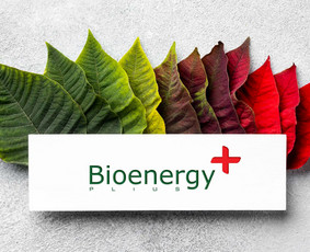 Bioenergy Plus