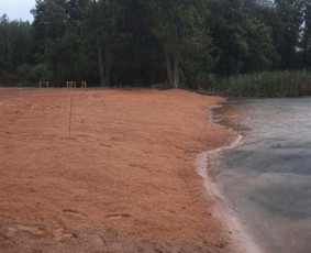 Kitos įvairios paslaugos - Iš pelkės į paplūdimį (darbai nuo A iki Z) - 2