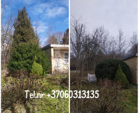 Medžių genėjimas*gyvatvorių karpymas*aplinkos tvarkymas / Zigmas / Darbų pavyzdys ID 3872350