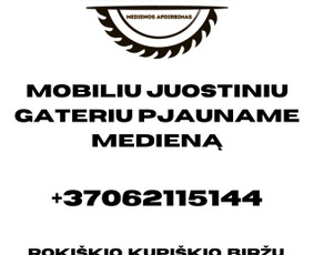 Medienos pjovimas mobiliu juostiniu gateriu Jūsų kieme! - Mobilūs gateriai, medienos pjovimas - 4 Mobilūs gateriai, medienos pjovimas - Medienos pjovimas mobiliu juostiniu gateriu Jūsų kieme! - 4