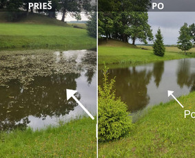Pamestų daiktų paieška Naro darbai Visa Lietuva / Pamestas Daiktas / Darbų pavyzdys ID 3872798