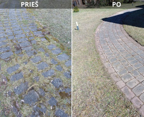 Kokybiškas aplinkos tvarkymas / Aplinkos pulsas / Darbų pavyzdys ID 3873000