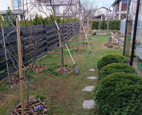 Kokybiškas aplinkos tvarkymas / Aplinkos pulsas / Darbų pavyzdys ID 3873004