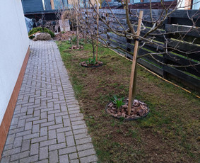 Kokybiškas aplinkos tvarkymas / Aplinkos pulsas / Darbų pavyzdys ID 3873006