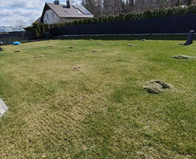 Kokybiškas aplinkos tvarkymas / Aplinkos pulsas / Darbų pavyzdys ID 3873032