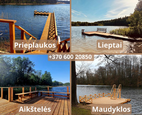 Socialiniai tinklai kurie padeda uždirbti daugiau / Pagalvosiu.lt / Darbų pavyzdys ID 3874628