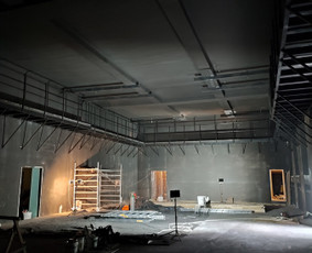 Metalo konstrukcijų projektavimas, gamyba, montavimas / Plieno Linija / Darbų pavyzdys ID 3875032