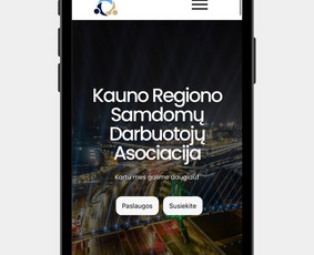 Internetinių Svetainių Kūrimas / Aurimas Bigelis / Darbų pavyzdys ID 3876136