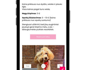 Internetinių Svetainių Kūrimas / Aurimas Bigelis / Darbų pavyzdys ID 3876138