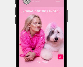 Svetainių kūrimas - Internetinių Svetainių Kūrimas - 1