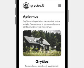 Internetinių Svetainių Kūrimas / Aurimas Bigelis / Darbų pavyzdys ID 3876266