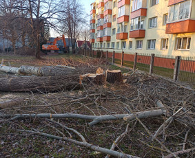 Avarinių medžių pjovimo paslaugos. / Rimas. M.- (Aboristas) / Darbų pavyzdys ID 3876872