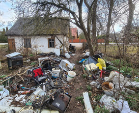 06 55 55 800 Medžių Pjovimas Ir Genėjimas Visoje Lietuvoje / MEDŽIŲ PJOVIMAS / Darbų pavyzdys ID 3877154