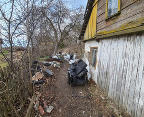 06 55 55 800 Medžių Pjovimas Ir Genėjimas Visoje Lietuvoje / MEDŽIŲ PJOVIMAS / Darbų pavyzdys ID 3877156