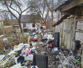 06 55 55 800 Medžių Pjovimas Ir Genėjimas Visoje Lietuvoje / MEDŽIŲ PJOVIMAS / Darbų pavyzdys ID 3877158