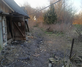 06 55 55 800 Medžių Pjovimas Ir Genėjimas Visoje Lietuvoje / MEDŽIŲ PJOVIMAS / Darbų pavyzdys ID 3877160