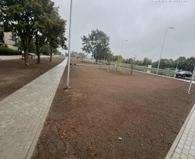 06 55 55 800 Medžių Pjovimas Ir Genėjimas Visoje Lietuvoje / MEDŽIŲ PJOVIMAS / Darbų pavyzdys ID 3877166