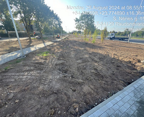 06 55 55 800 Medžių Pjovimas Ir Genėjimas Visoje Lietuvoje / MEDŽIŲ PJOVIMAS / Darbų pavyzdys ID 3877170