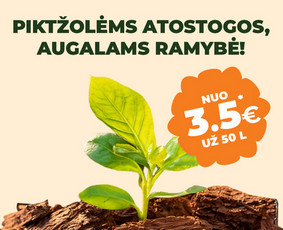 Grafinis dizainas - Vizualinis identitetas - Maketavimas / Blank House / Darbų pavyzdys ID 3877184