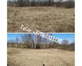 Medžių genėjimas*gyvatvorių karpymas*aplinkos tvarkymas / Zigmas / Darbų pavyzdys ID 3877190