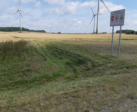 Statybos, apdaila - Žolės pjovimas, vejos priežiūra. - 2