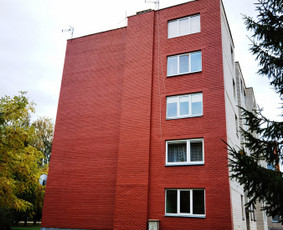 Aukštalipių darbai: siūlių remontas, dažymas, tinkavimas / Martynas Streckis / Darbų pavyzdys ID 3879874
