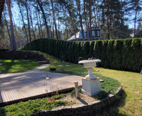 Vaismedžiu genėjimas,tuju gyvatvorių,krūmų kirpimas! / Vitalijus Juodaitis / Darbų pavyzdys ID 3881766