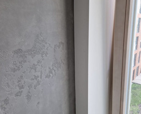 Esu profesionalus dažytojas. / DažukasLT / Darbų pavyzdys ID 3882732