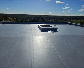 Plokšių stogų dengymas Pvc dangą / PVC garantas / Darbų pavyzdys ID 3884854