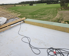 Plokšių stogų dengymas Pvc dangą / PVC garantas / Darbų pavyzdys ID 3884864