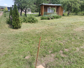 Žolės Pjovimas Su Trimeriu Ir Žoliapjove / Mindaugas / Darbų pavyzdys ID 3886304