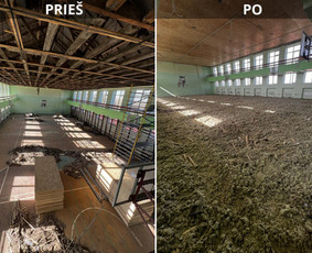 Visi vidaus ir išorės griovimo darbai / Rokas / Darbų pavyzdys ID 3886762