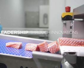 Audiovizualiniai Projektai - Reklaminių klipų kūrimas - 2 Reklaminių klipų kūrimas - Audiovizualiniai Projektai - 2