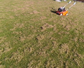 Žolės pjovimas - Vejos aeravimas - 1 Vejos aeravimas - Žolės pjovimas - 1