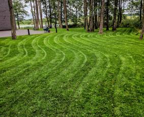 Ieškai sprendimo? Mes jį turim. / Greeneris / Darbų pavyzdys ID 3887464