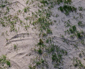 Ieškai sprendimo? Mes jį turim. / Greeneris / Darbų pavyzdys ID 3887552