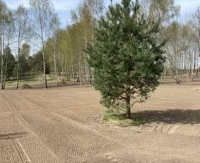 Mini krautuvo nuoma Šiauliuose / Žygimantas / Darbų pavyzdys ID 3887588