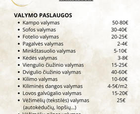 Vežimėlių, autokėdučių, minkštų baldų giluminis valymas / Švaros Impulsas / Darbų pavyzdys ID 3887638
