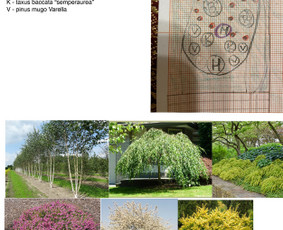 Kiemų/terasų/balkonų apželdinimas - Kraštovaizdžio projektavimas - 2 Kraštovaizdžio projektavimas - Kiemų/terasų/balkonų apželdinimas - 2