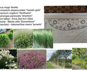 Kiemų/terasų/balkonų apželdinimas - Kraštovaizdžio projektavimas - 1 Kraštovaizdžio projektavimas - Kiemų/terasų/balkonų apželdinimas - 1