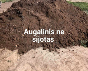 Vežam biriąsias medžiagos bei tvarkom sklypus / Scania / Darbų pavyzdys ID 3889008