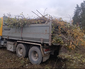 Vežam biriąsias medžiagos bei tvarkom sklypus / Scania / Darbų pavyzdys ID 3889012