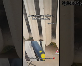 Profesionalus Valymas Jūsų Patogumui S&s / Spick&Span / Darbų pavyzdys ID 3889028